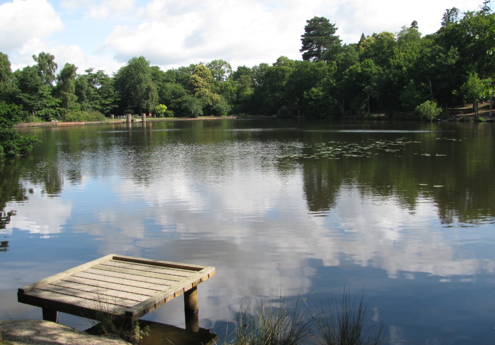 Buchan Country Park photo by Catherine Verney