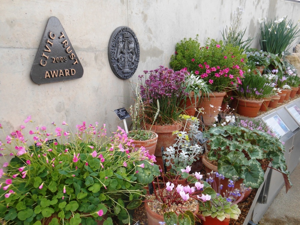 Flowers, Kew Gardens