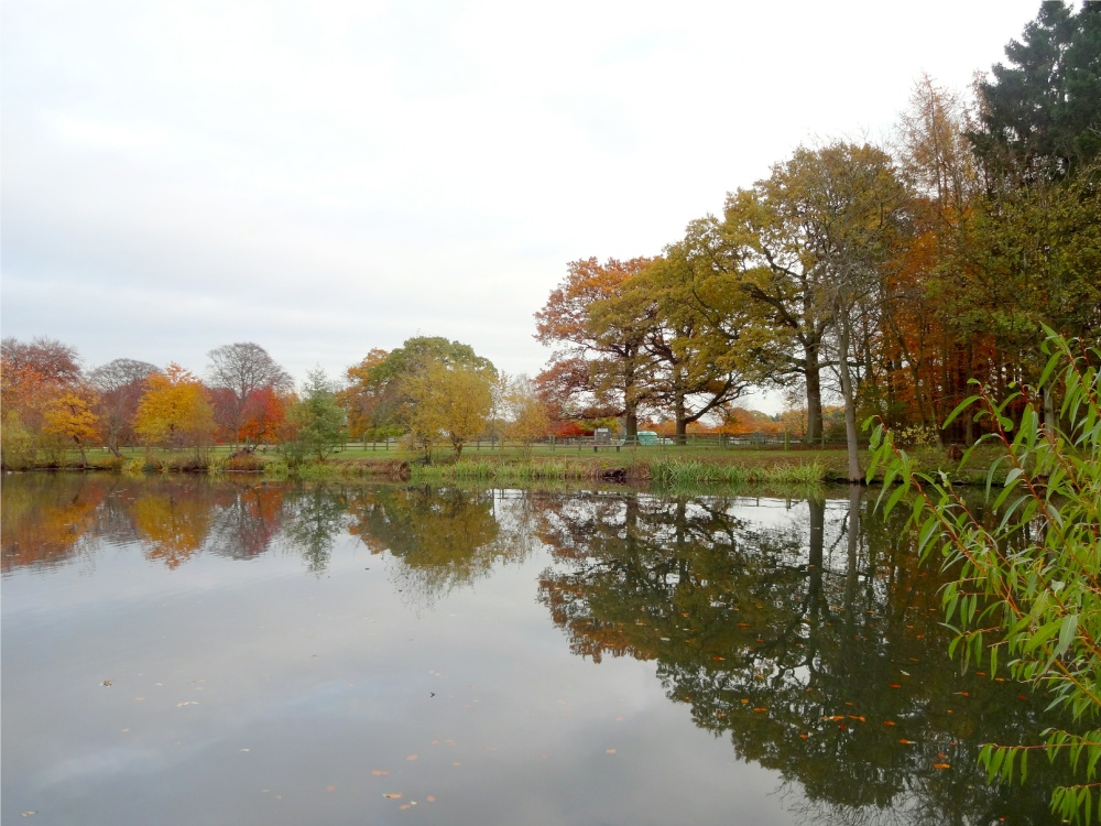 A calm day on the lake at Nidd.
