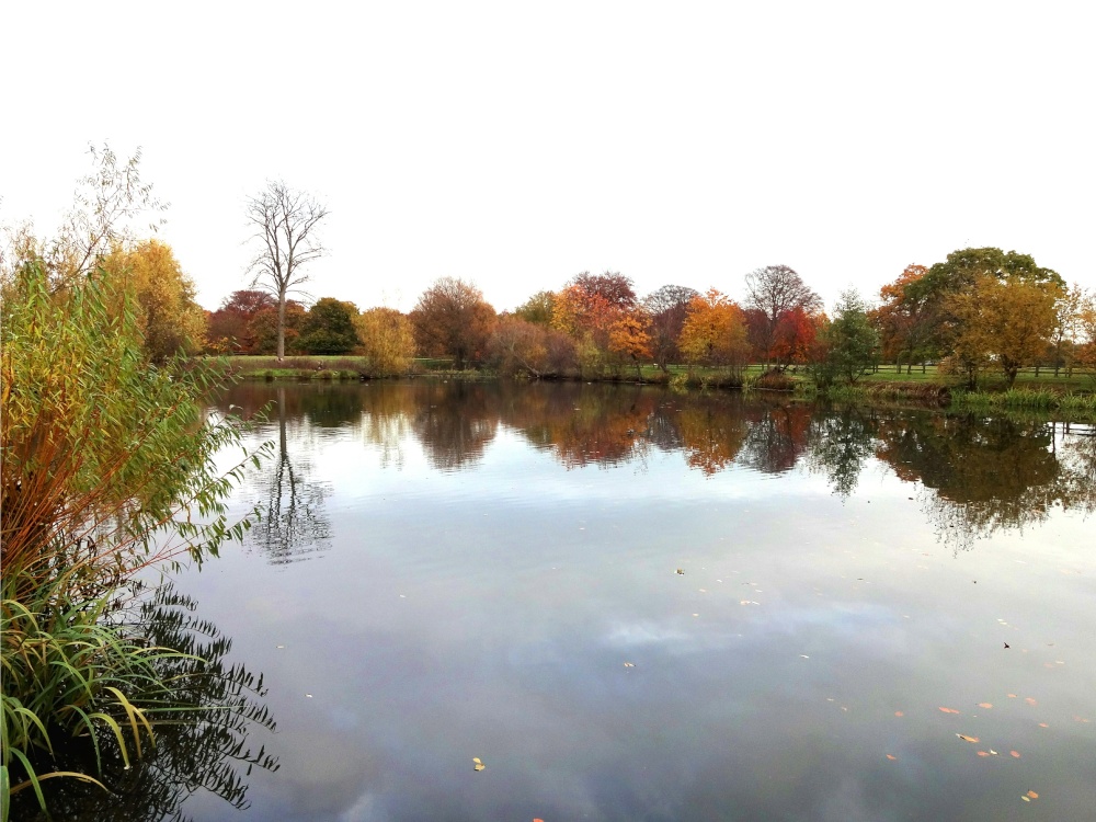 Photograph of A calm autumn day on the lake at Nidd.