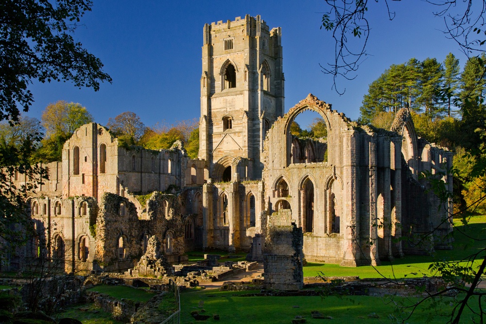 Fountains Abbey.Ripon,North Yorkshire photo by David Swann