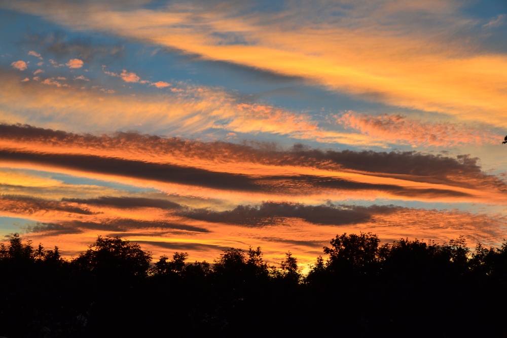 Northumberland sunset photo by Martin Humphreys
