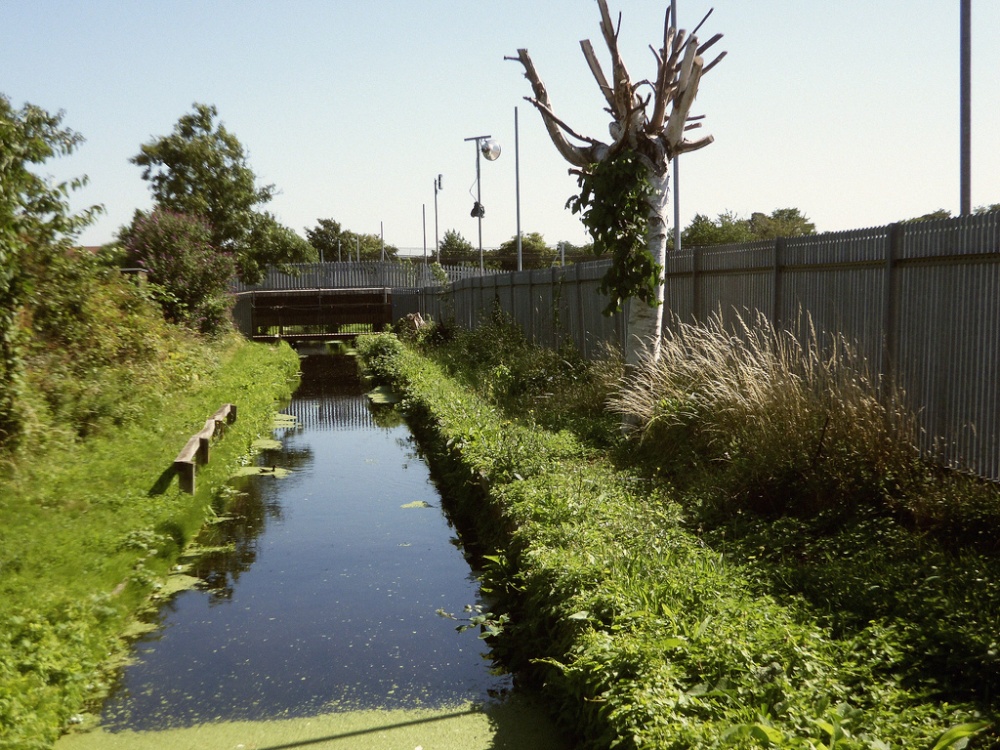 Gibbons Road feeder NW10