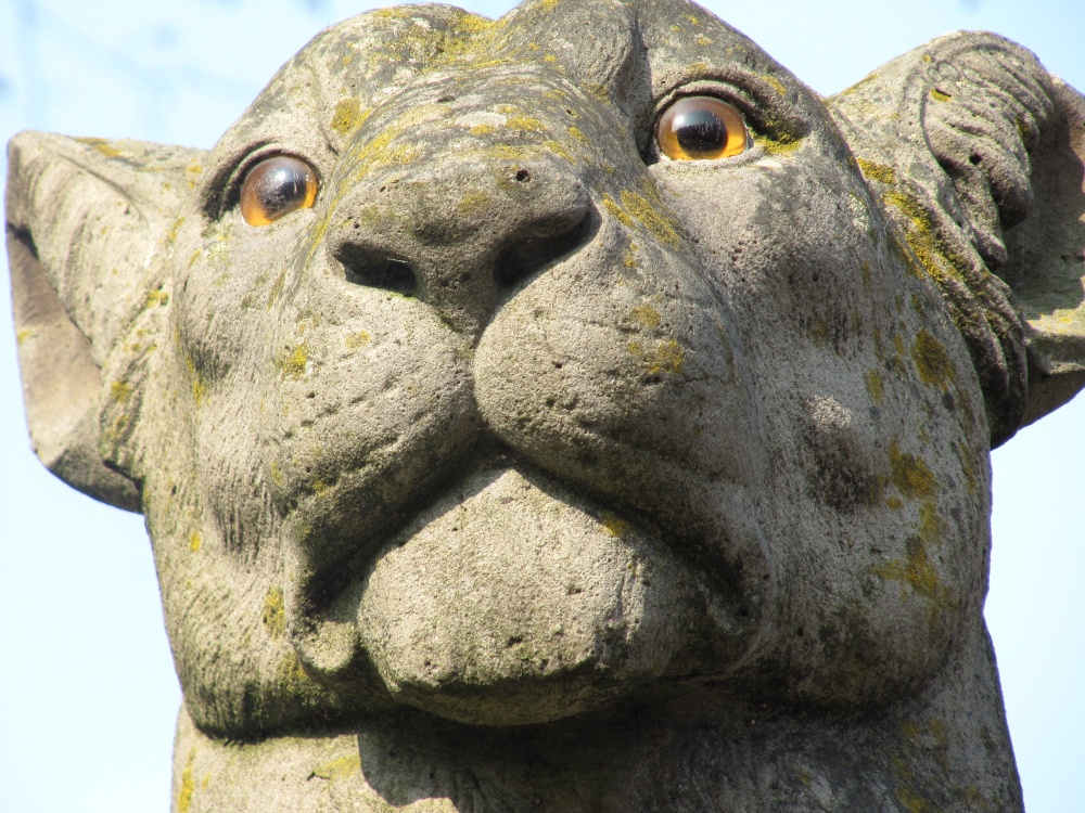 Lioness Statue,Cardiff Castle photo by Ken Marshall