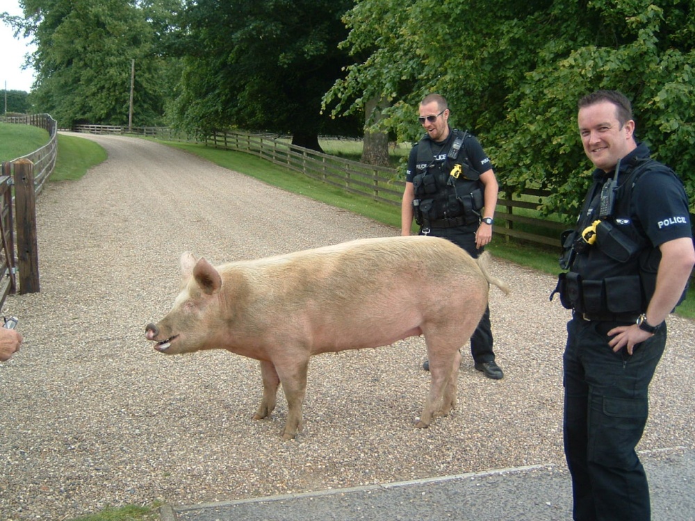 Photograph of New police recruits in Louth