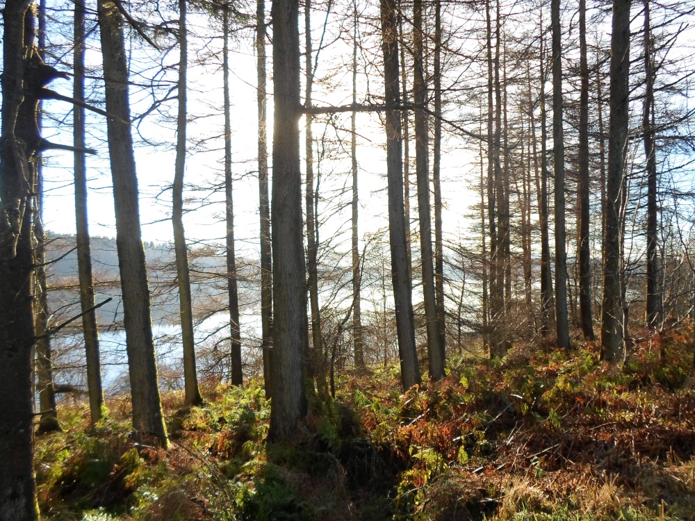 The Usk Reservoir in the Brecon Beacons photo by Anthony Ladds