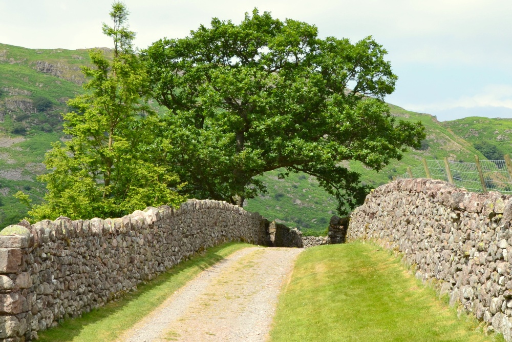 Photograph of Eskdale