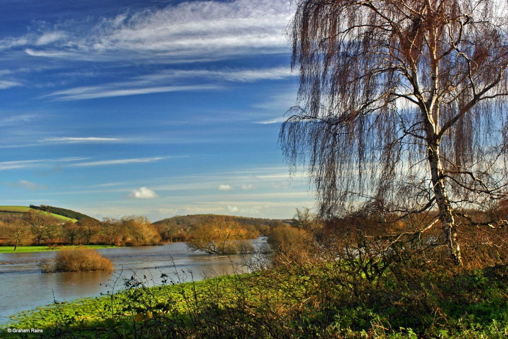 Stour Valley Winter, Dorset.