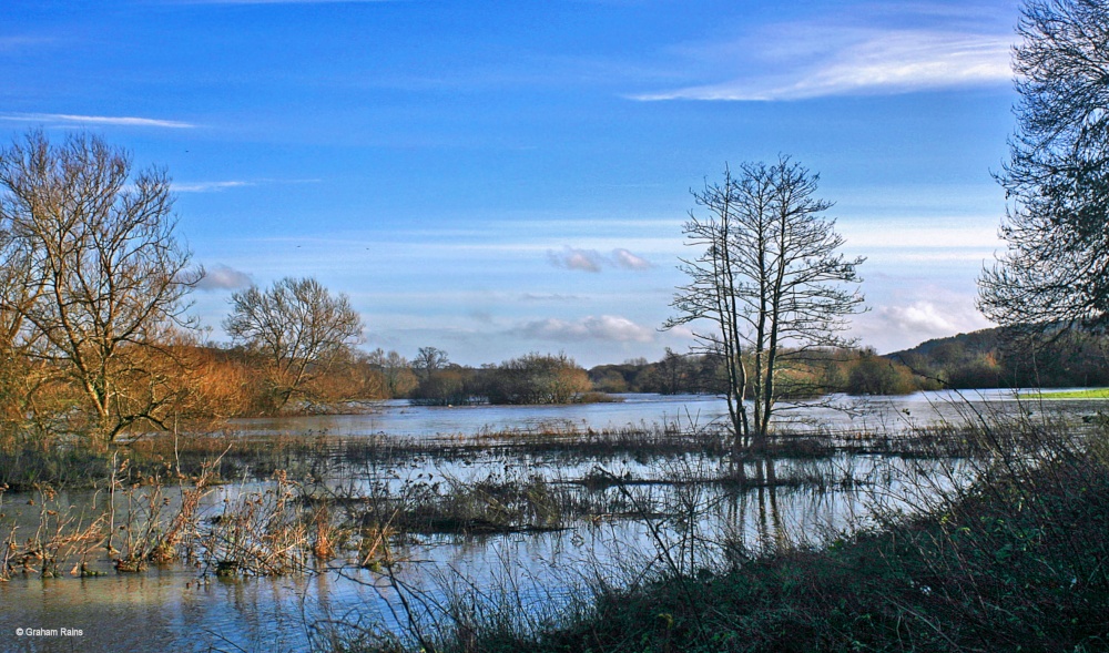 Stour Valley Winter, Dorset.