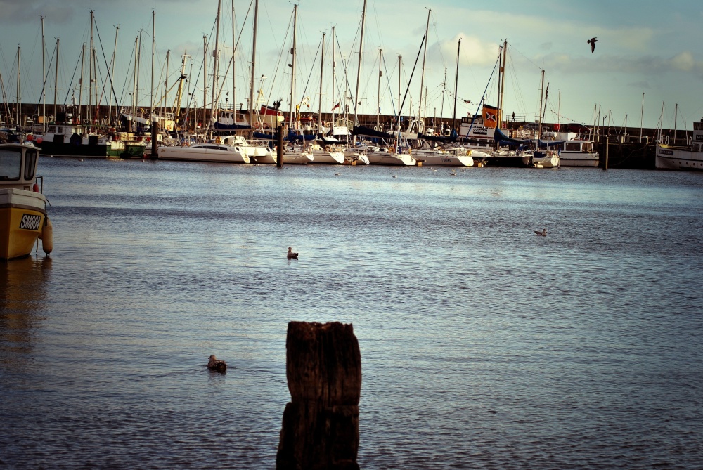 Scarbourough  harbour