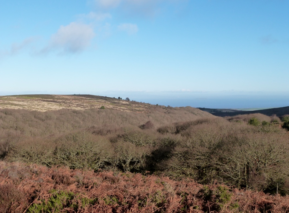Quantock Hills