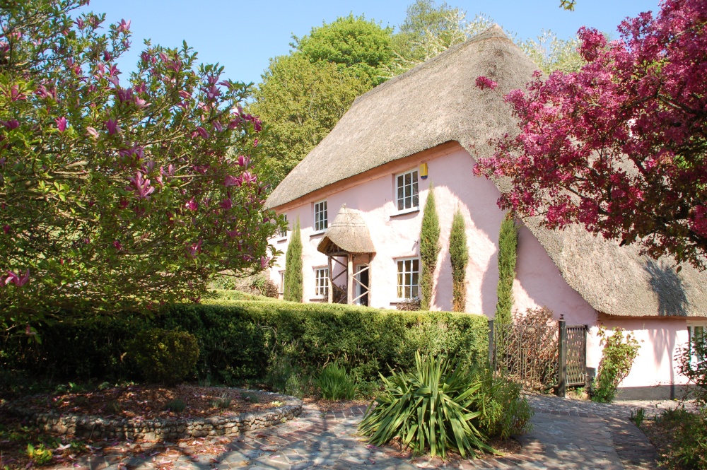 Photograph of Cockington village in Devon A hint of pink