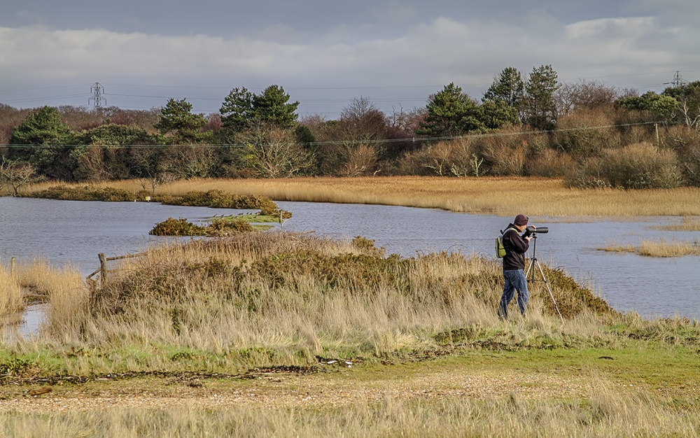 Bird Spotting at Lepe