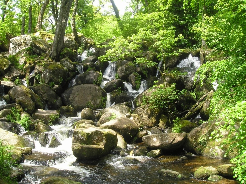 Becky Falls, Dartmoor
