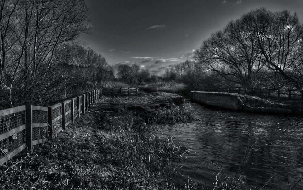 The River Lark, West Stow Country Park, Suffolk photo by Ryszard  Ochotny