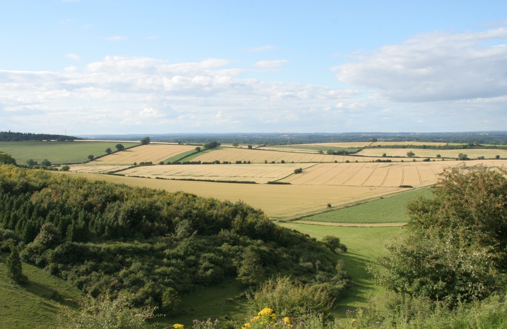 Photograph of View of Watership Down (2)