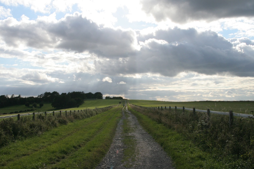 View of Watership Down (4)