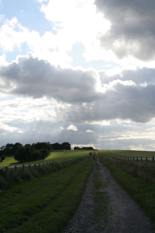 View of Watership Down (6)