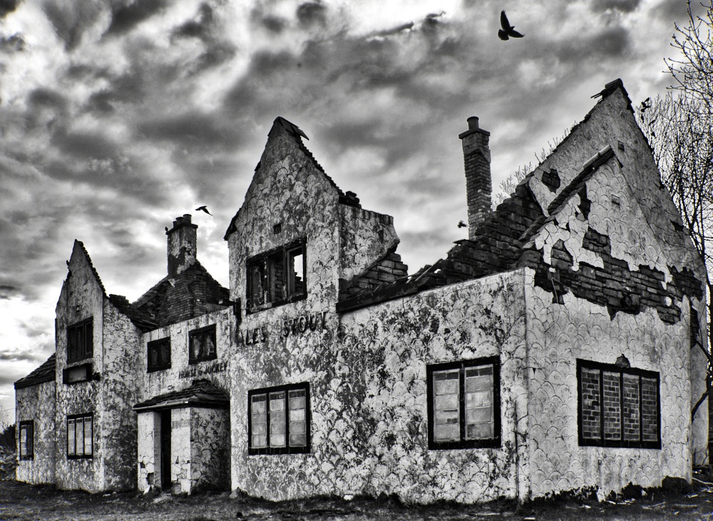 Horse and Jockey A62