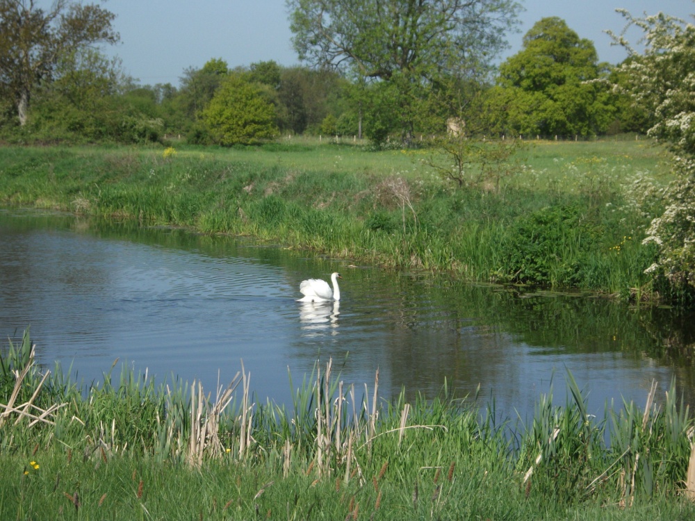 Country farm near Marden, Kent
