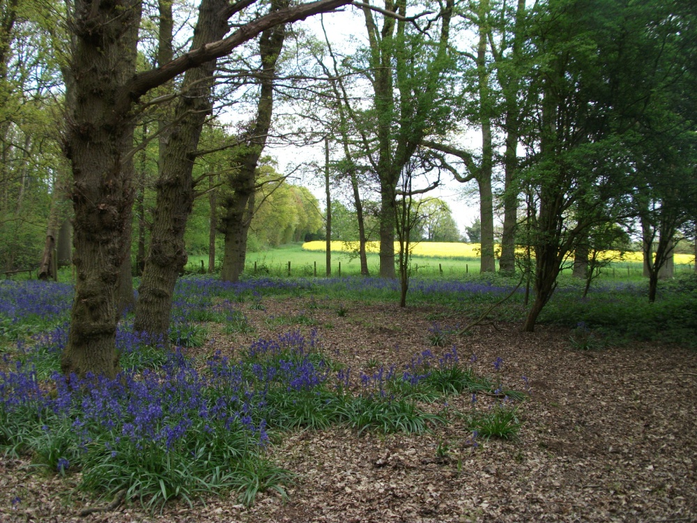 Photograph of Country farm near Marden, Kent