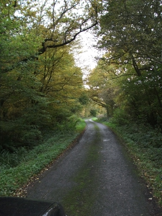 Country lane, Kent