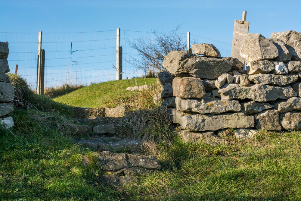 Photograph of Crich stand