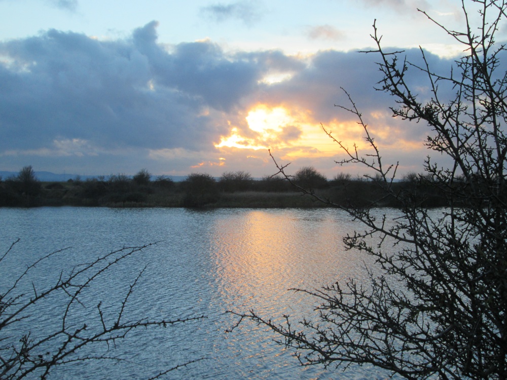 Photograph of Cliffe Pools
