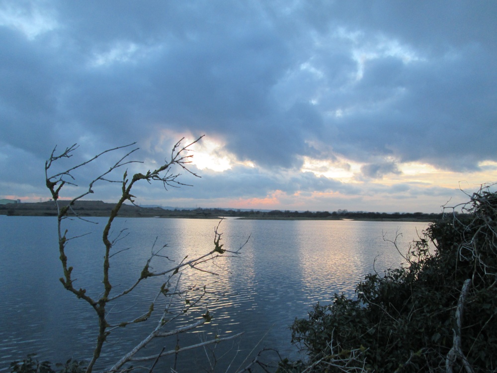 Cliffe Pools