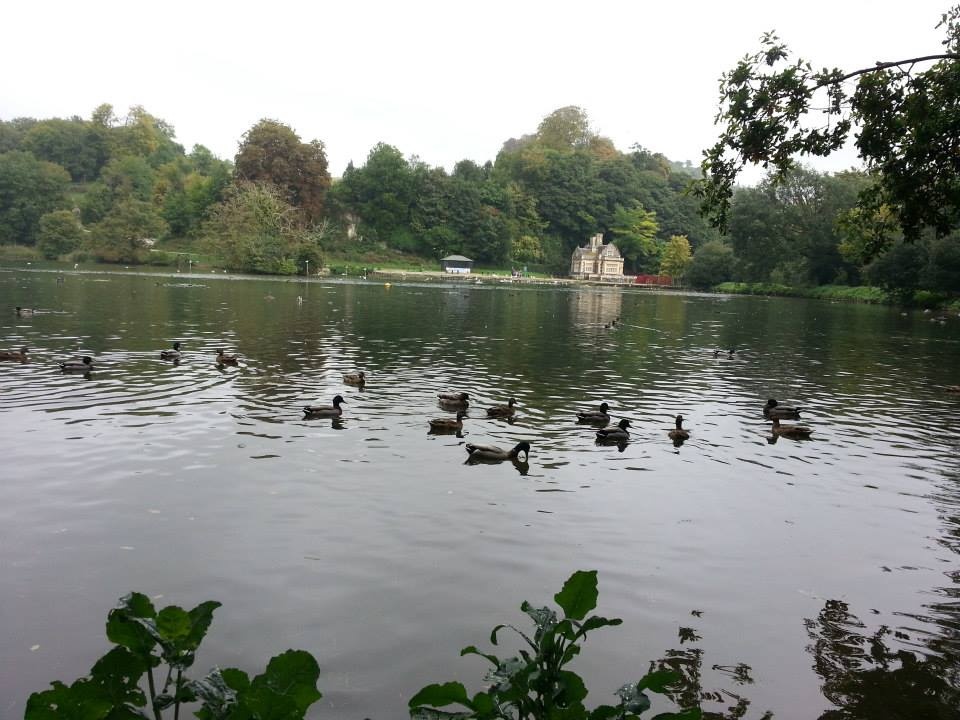 Arundel, Swanbourne Lake