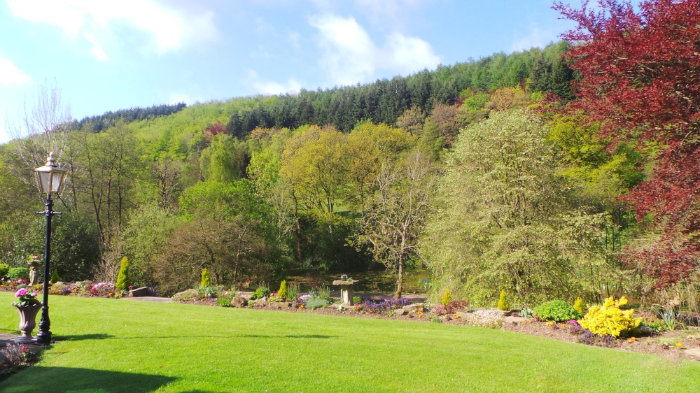Dalby Forest from High Dalby House photo by David Wreglesworth