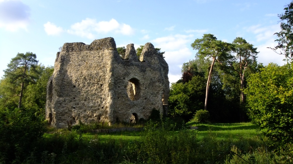 Odiham Castle, Hook, Hampshire