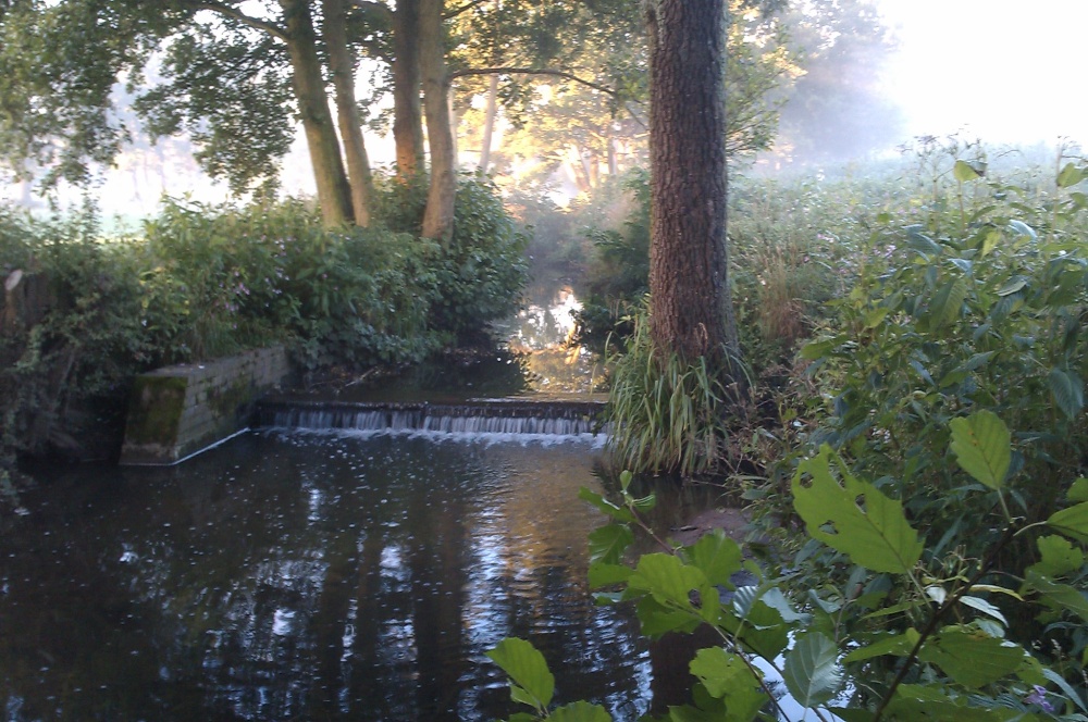 Hidden Gem near Bournville Village.