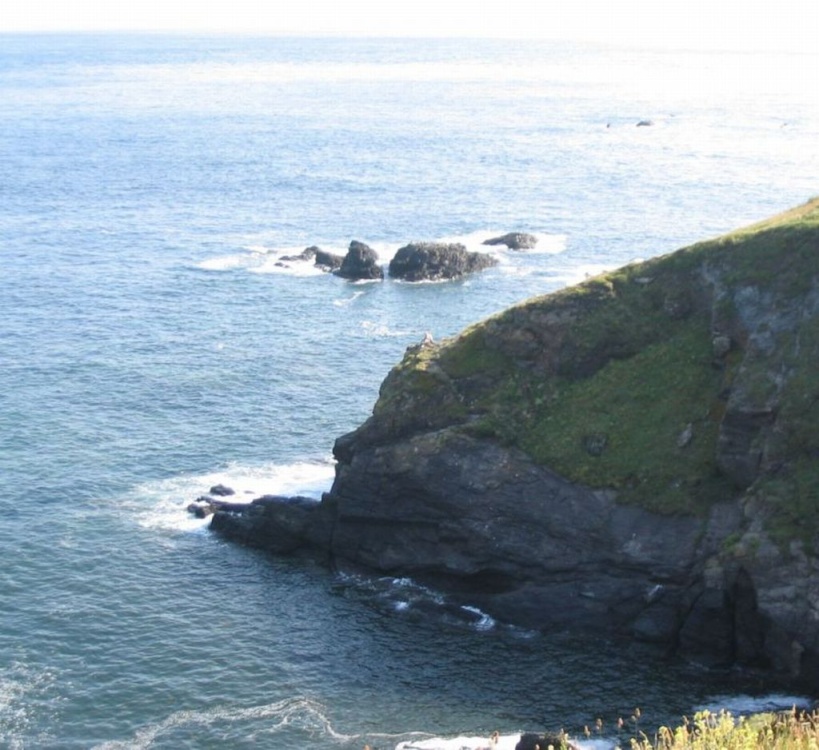 Lizard Point (1) June 2003