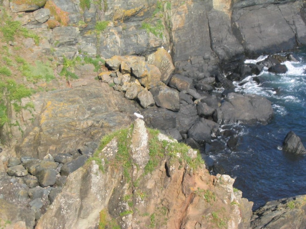 Photograph of Face in the Rock, Cove at Lizard Point June 2003
