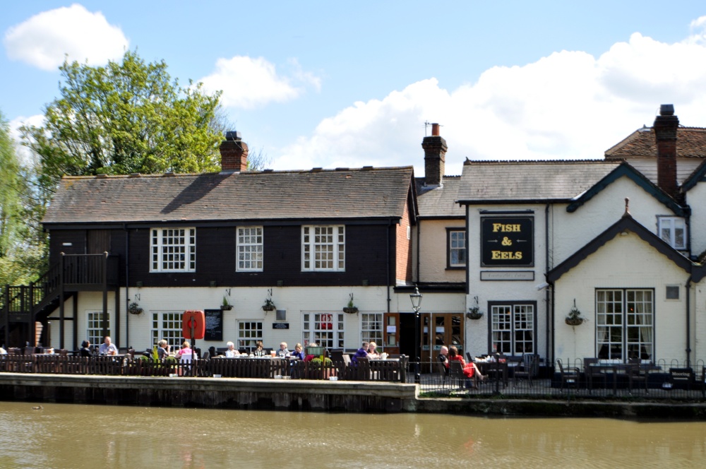 Fish & Eels riverside