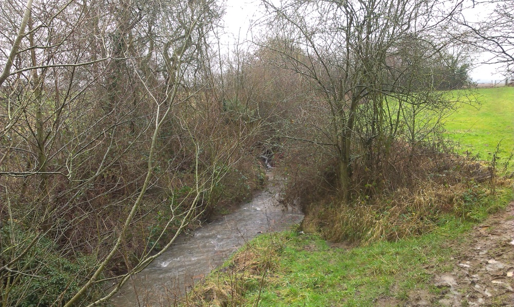 A cold Romsley river.