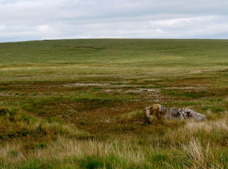 Dartmoor
