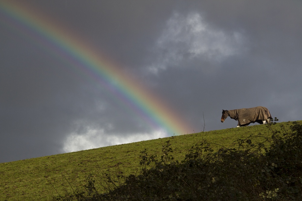 Photograph of Some where over the rainbow near Fordingbridge...
