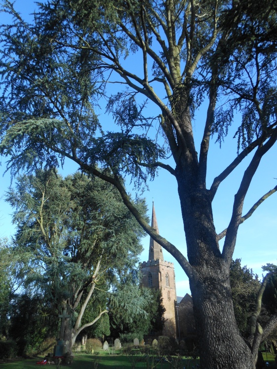 St Mark's Church, Bilton