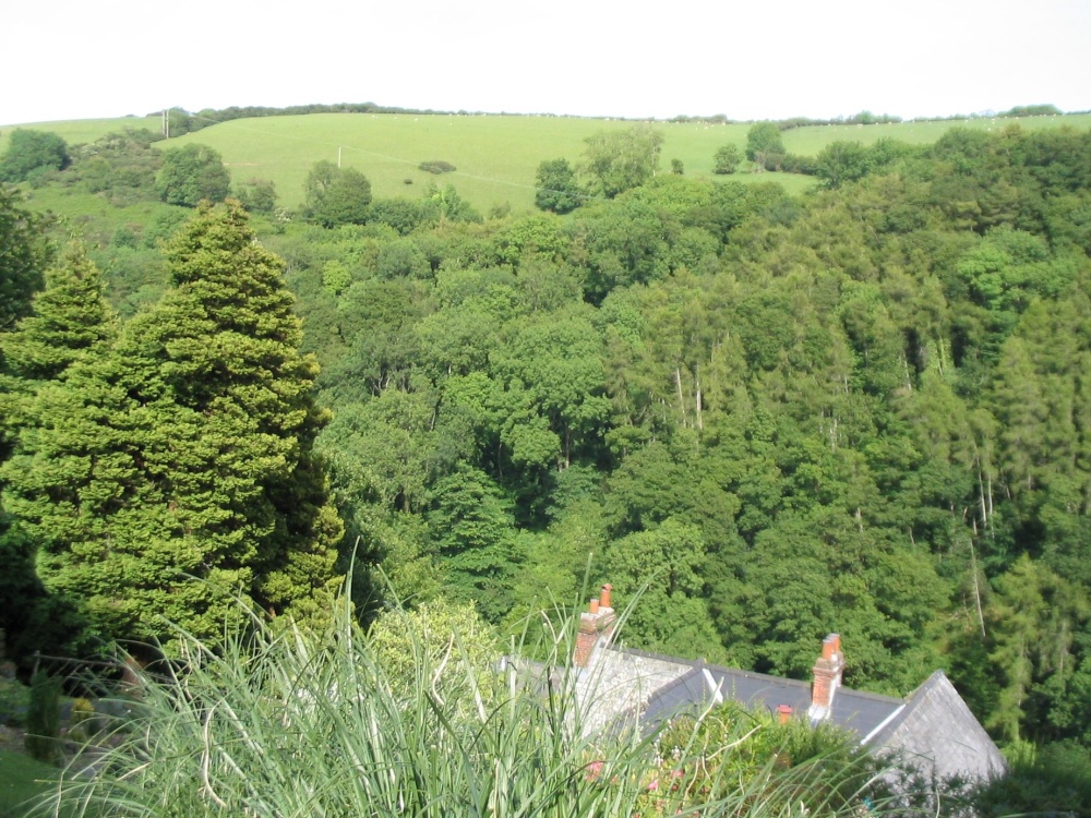 Lynton - June 13, 2003