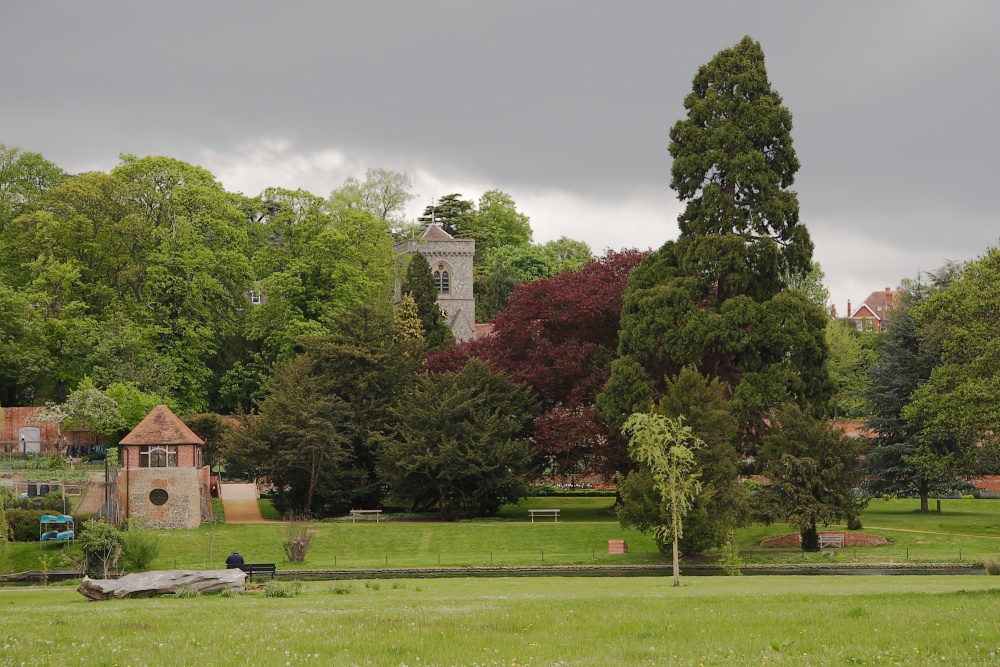 Caversham Court Gardens viewed from the Reading river-bank