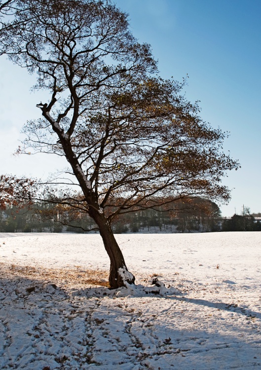Guiseley West Yorkshire