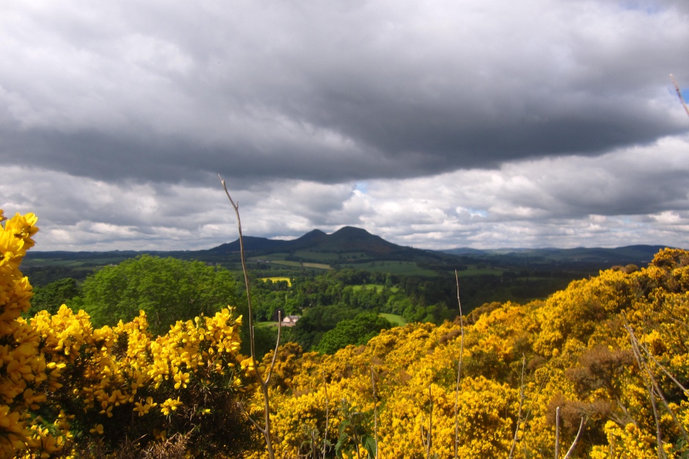 Photograph of Melrose, Scott's View, Scottish Borders, Scotland
