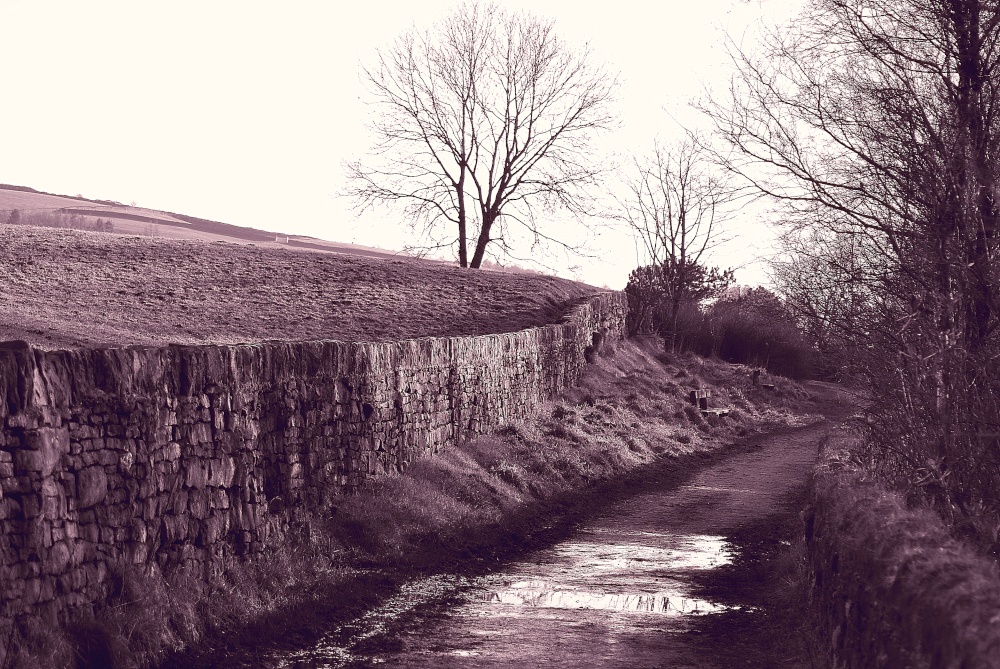 Bleak beauty at Oldham