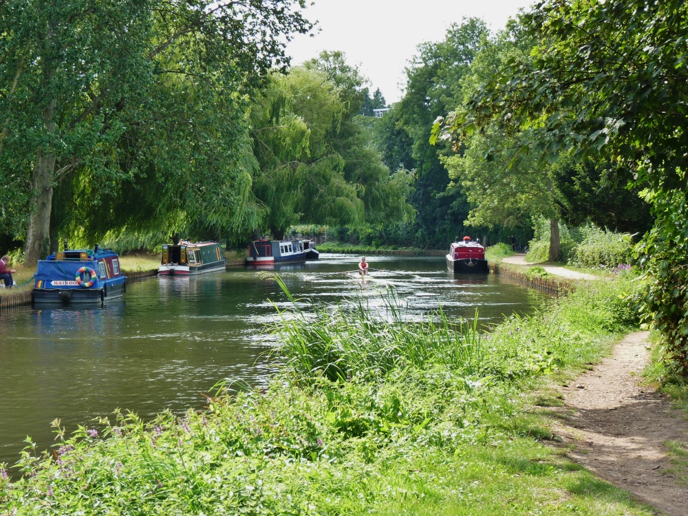 Photograph of River Scene @Guildford