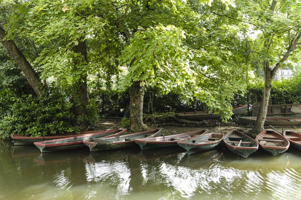 Row Boats on River Wey – Guildford.