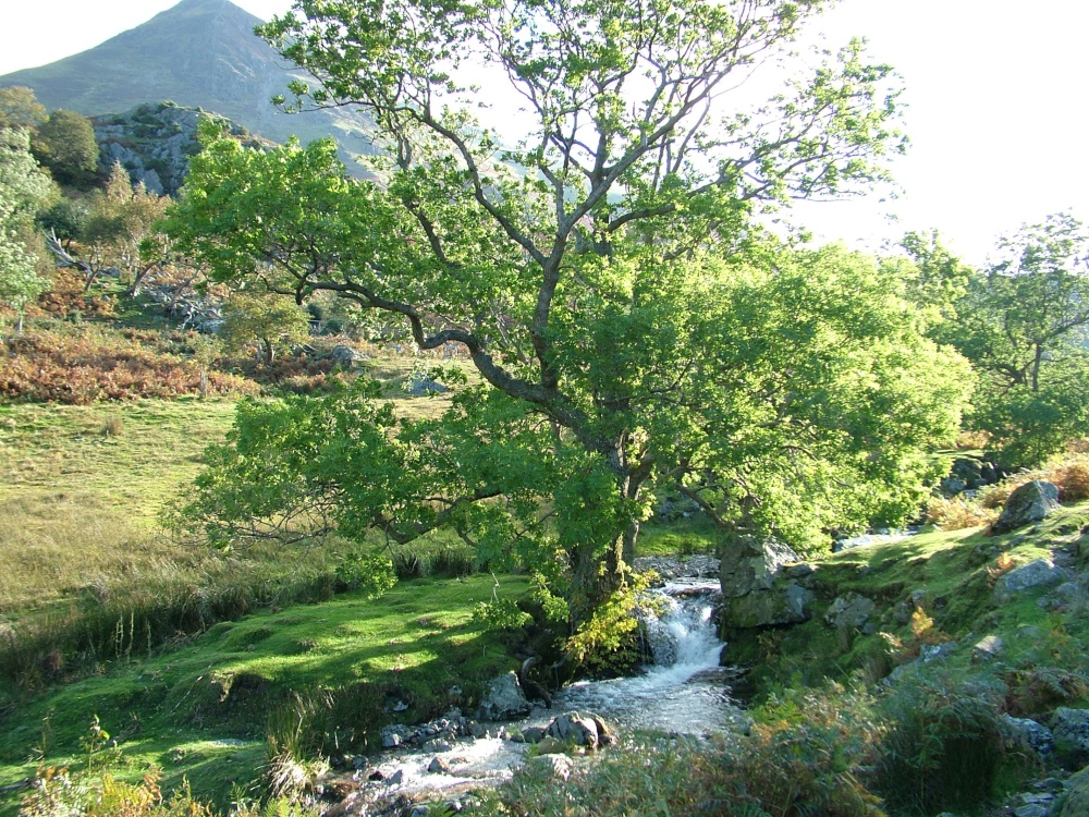 Newlands Valley, Cumbria