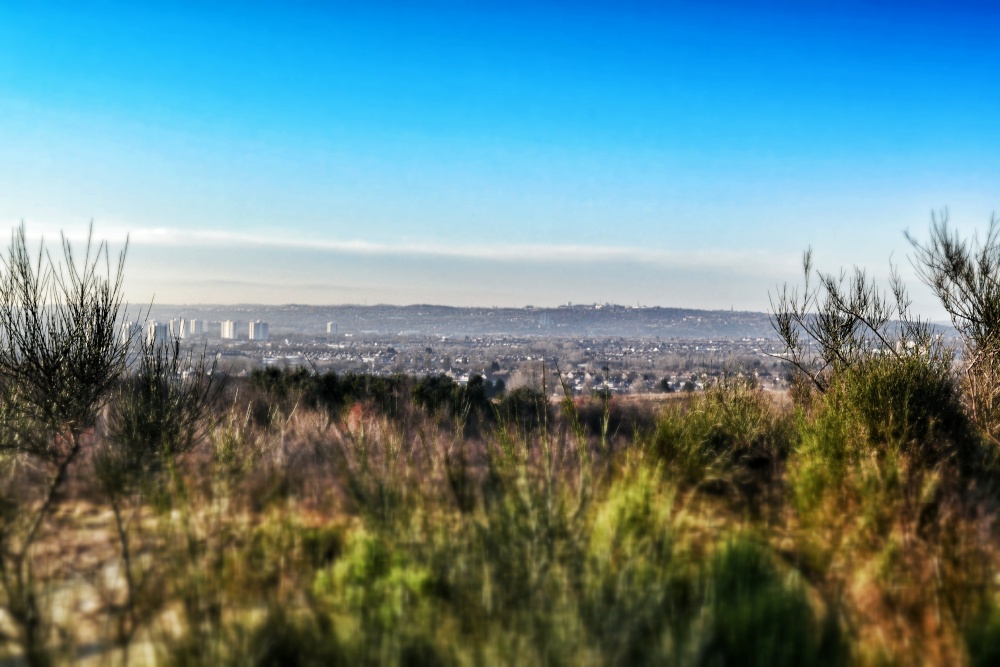 Rising Sun Country Park, Wallsend. photo by Michael Morris
