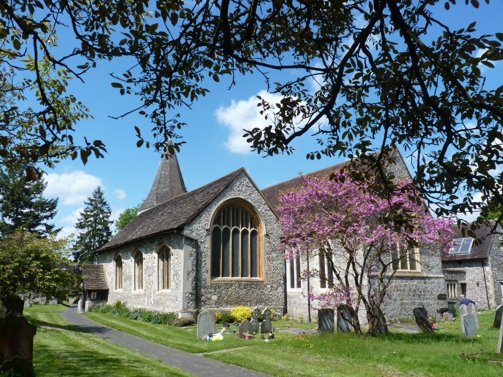 Photograph of Blossom Time in Bookham